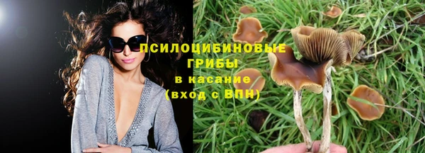 прущие крисы Алексин