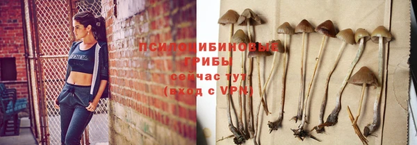 прущие крисы Алексин