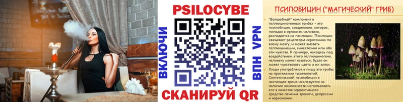 Псилоцибиновые грибы Cubensis Октябрьск