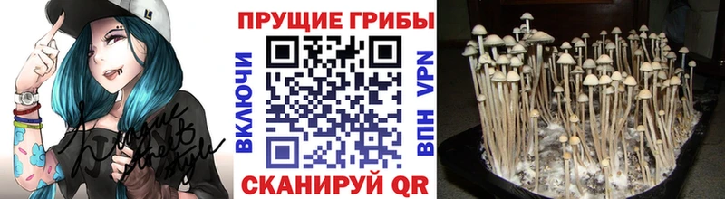 Галлюциногенные грибы MAGIC MUSHROOMS  хочу наркоту  Октябрьск 